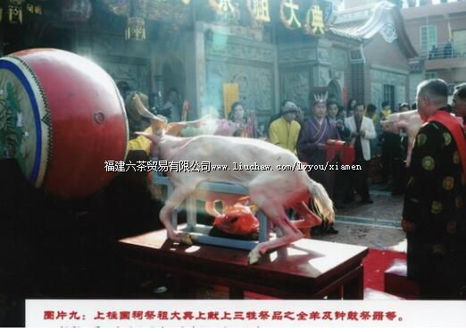 ���������������ϼ���ϰ��