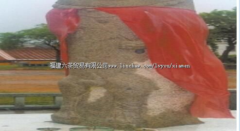 �ý��ʨү����