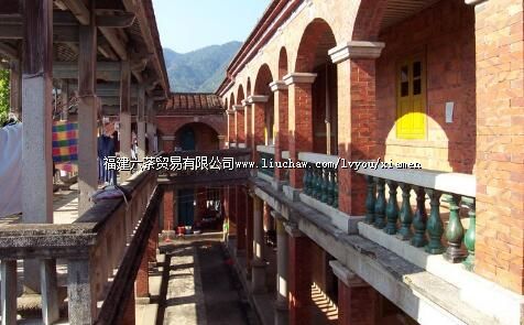 �����򈝱���Ҷ��̩�ʾ�