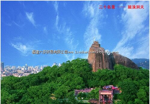 ���˶���