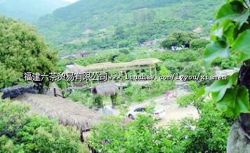 ��԰���ũ����