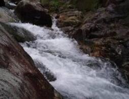 �˹ֹ����ι���