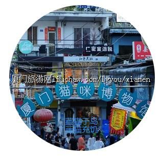 ����è�ڵ�������è�伢����������������������ߣè����һ��Ҫ��