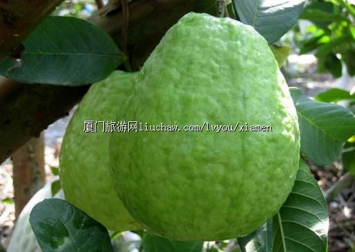 �����ز�-�����ز�ˮ��������