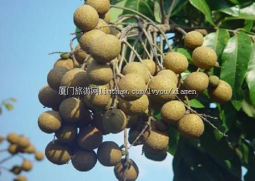 �����ز�-�����ز�ˮ��������