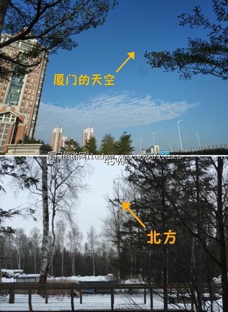 指南:十二月去厦门穿什么?厦门冷吗?十二月的厦门可以玩哪些地方?