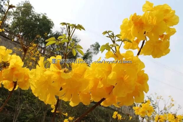 ָ�ϣ����Ŵ����ͻ�ָ��