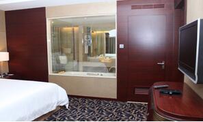 ��������Ƶ�