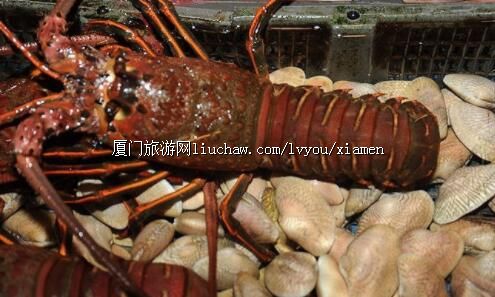 ζ�������������ʳ԰��