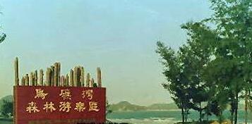 ��ɽ���Һ���ɭ�ֹ�԰