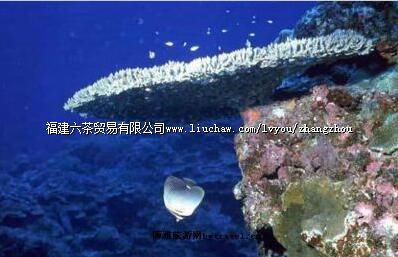 �����ڽ���