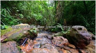 ��Ѽɽɭ����̬������