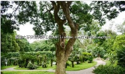 ����繫��ս����ַ