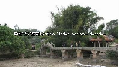 ���ݳ�Ԫ��Ĺ