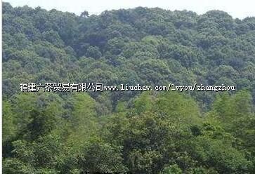 �������ȴ�����