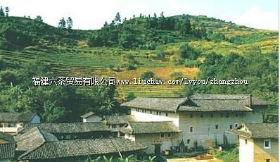 �Ͼ�����¥