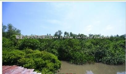 福建漳江口红树林国家级自然保护区