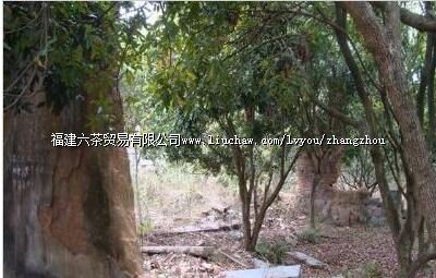 �й���ũ������϶�����3�ų�����ַ