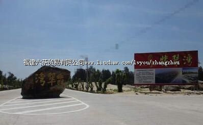 �����������������ȼ�