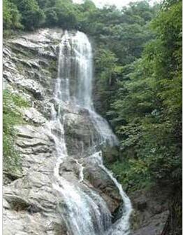 �������ٲ�