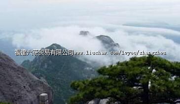 ��̩����ɭ�ֹ�԰