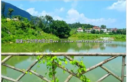 ��Ϫ������