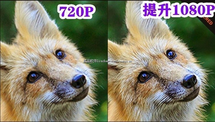 tp ��30Ԫ ͼƬ����Ŵ�����