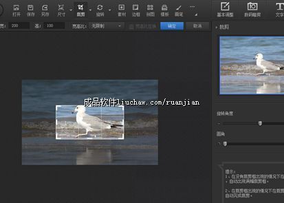 tp ��50Ԫ 1��2����Ƭ����-�谲װ (֤���ջ��������ߴ��������ת�����񡢿�ͼ��������ˮӡ��ͼ