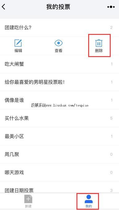 ���ɾ��ͶƱ��