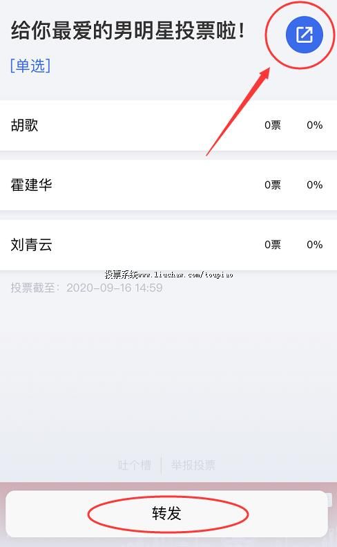 ��η���ͶƱ