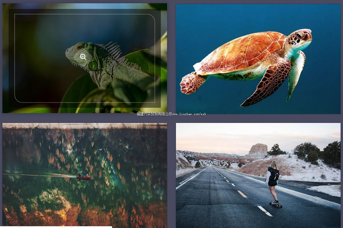 tx068�Ŵ����ͼƬԤ�� ��100Ԫ ����200Ԫ