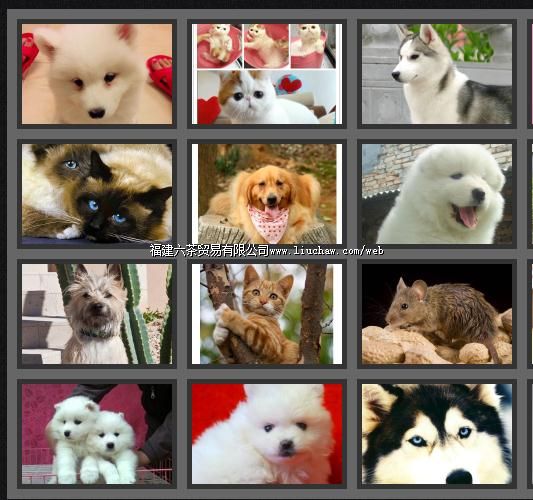 tx072�ռ������Ƭչʾ ��100Ԫ ����200Ԫ