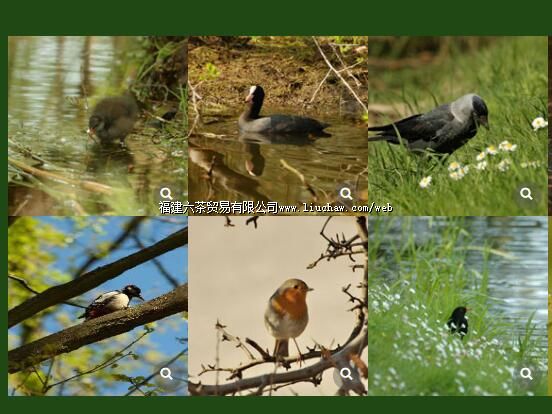 tx081��ᣨ�ֻ�+���ԣ� ��100Ԫ ����200Ԫ