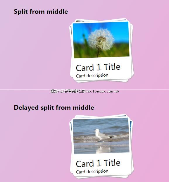 tx082���ͼƬ���Ӷѷ�չ�� ��100Ԫ ����200Ԫ