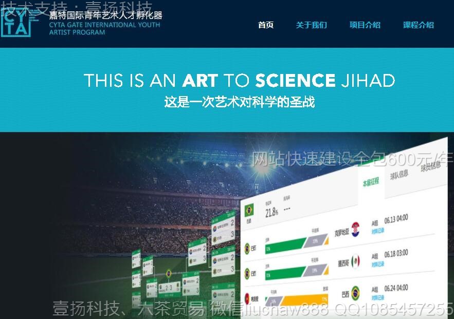 ����-������ѵ��վģ��0309moban