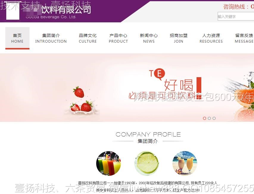 ����-���Ϲ�˾��վģ��2721moban