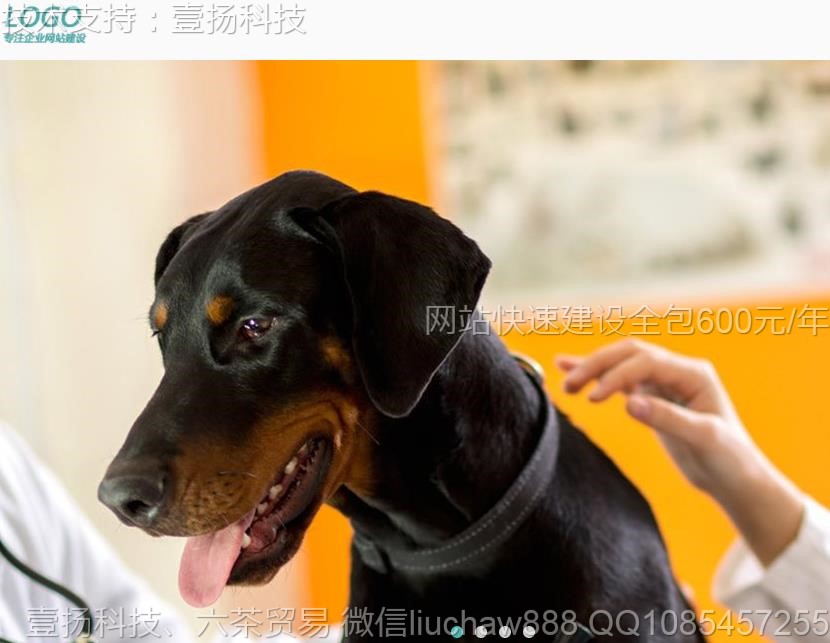 ����-����ҽԺ��վģ��0312moban.