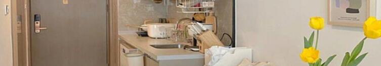 24㎡的LOFT住的也舒服 利用4.8米层高做卧室