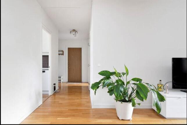 东南亚风格全屋刮大白 尝试一下断舍离的生活