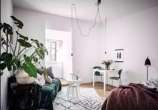 ��ŷ�絥����Ԣ��� Ӫ����ܰ��Ȼ��С��