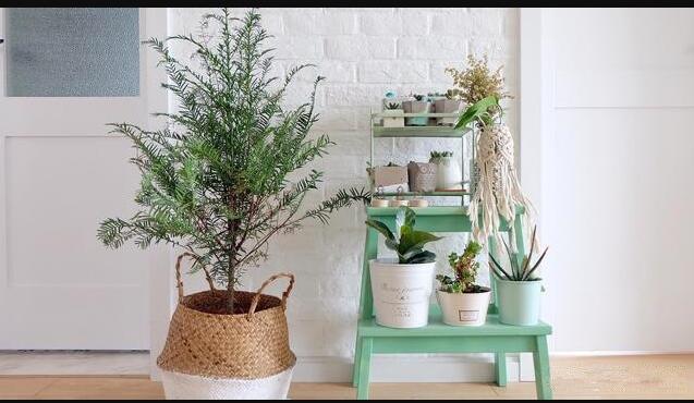 ��ʽװ�޷��6���ص�,��֪����TVB�����׿��ˣ�