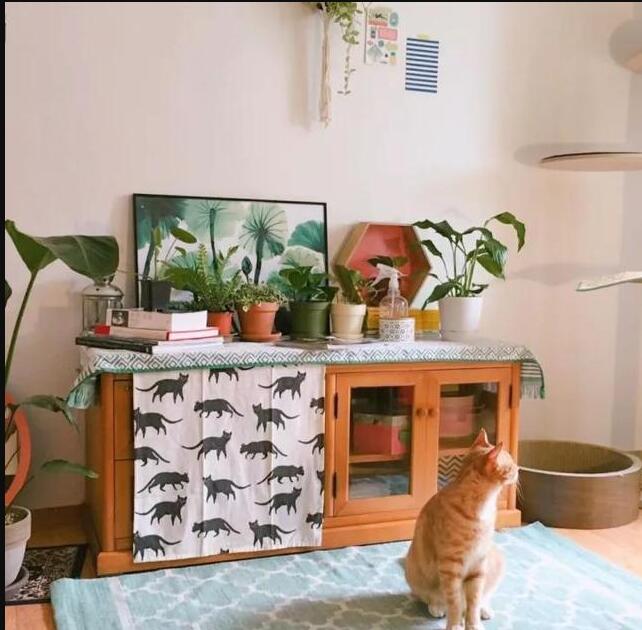 森系家居装修该如何打造 拥有这6样一定够森